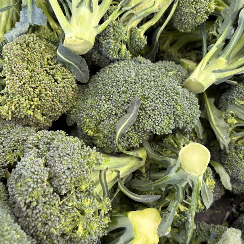 Broccoli freschi tagliati su tagliere, fonte di glucorafanina e sulforafano