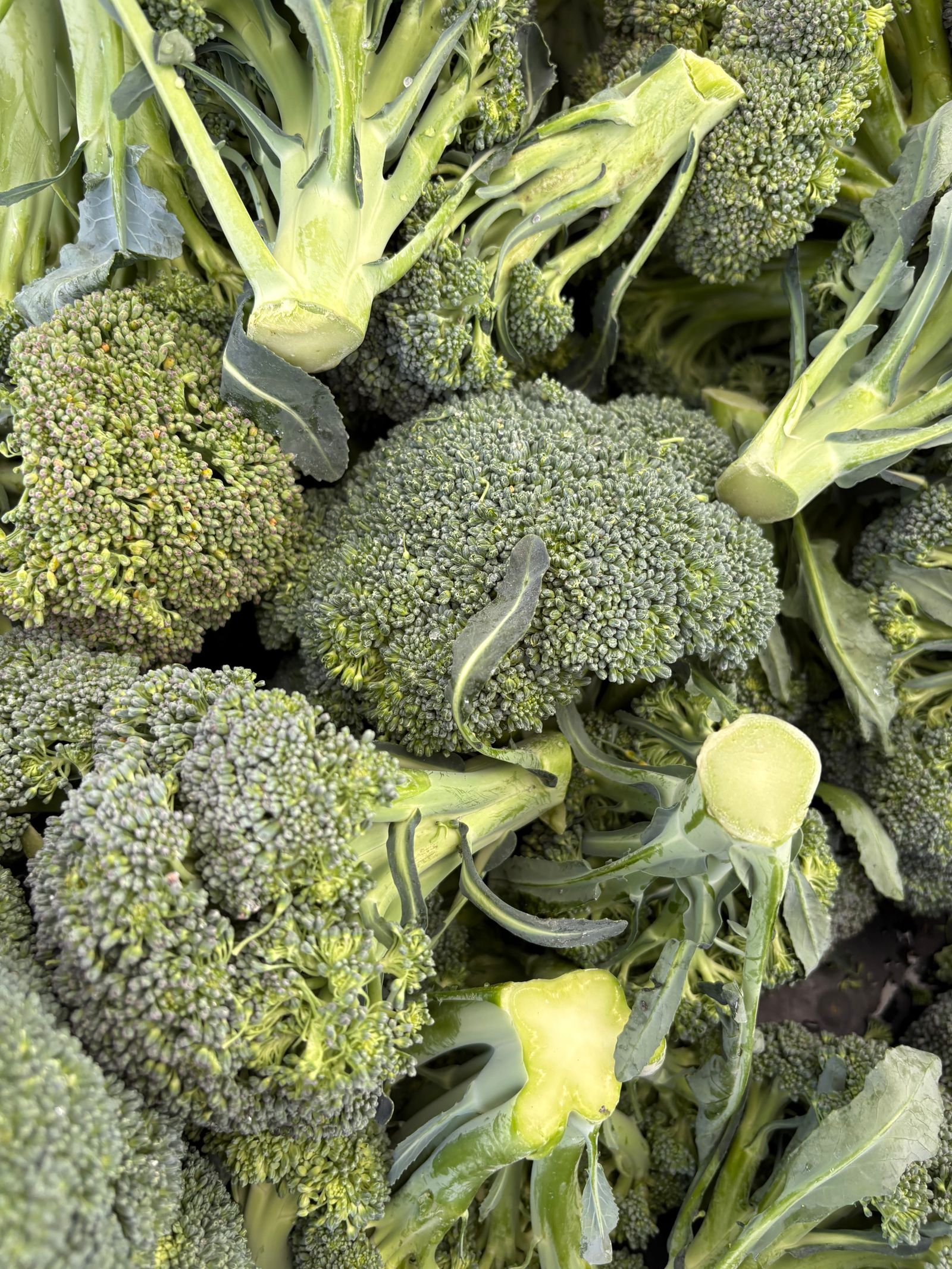 Broccoli freschi tagliati su tagliere, fonte di glucorafanina e sulforafano