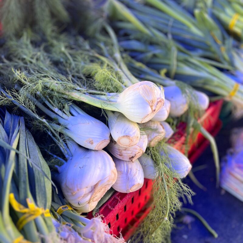 Bulbi di finocchio fresco al mercato contadino