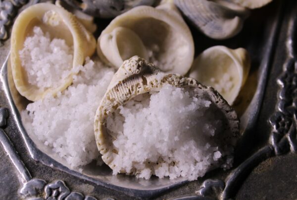 Sale marino in conchiglie, fonte naturale di cloruro e sodio
