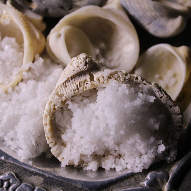 Sale marino in conchiglie, fonte naturale di cloruro e sodio