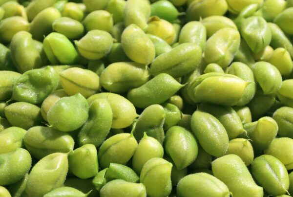 Fagioli di edamame sgusciati, fonte naturale di isoflavoni della soia come la daidzeina