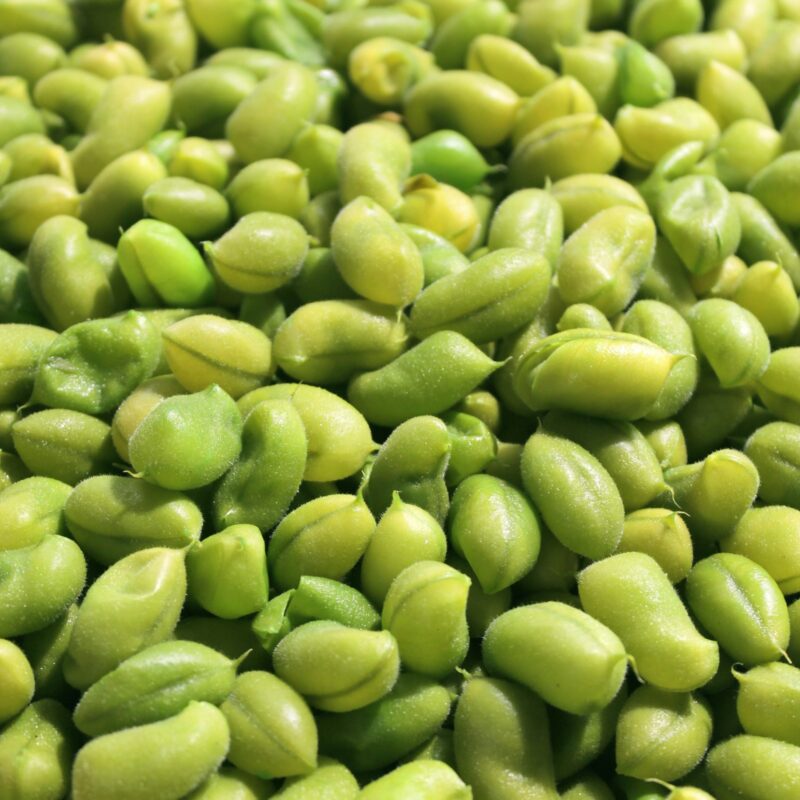 Fagioli di edamame sgusciati, fonte naturale di isoflavoni della soia come la daidzeina