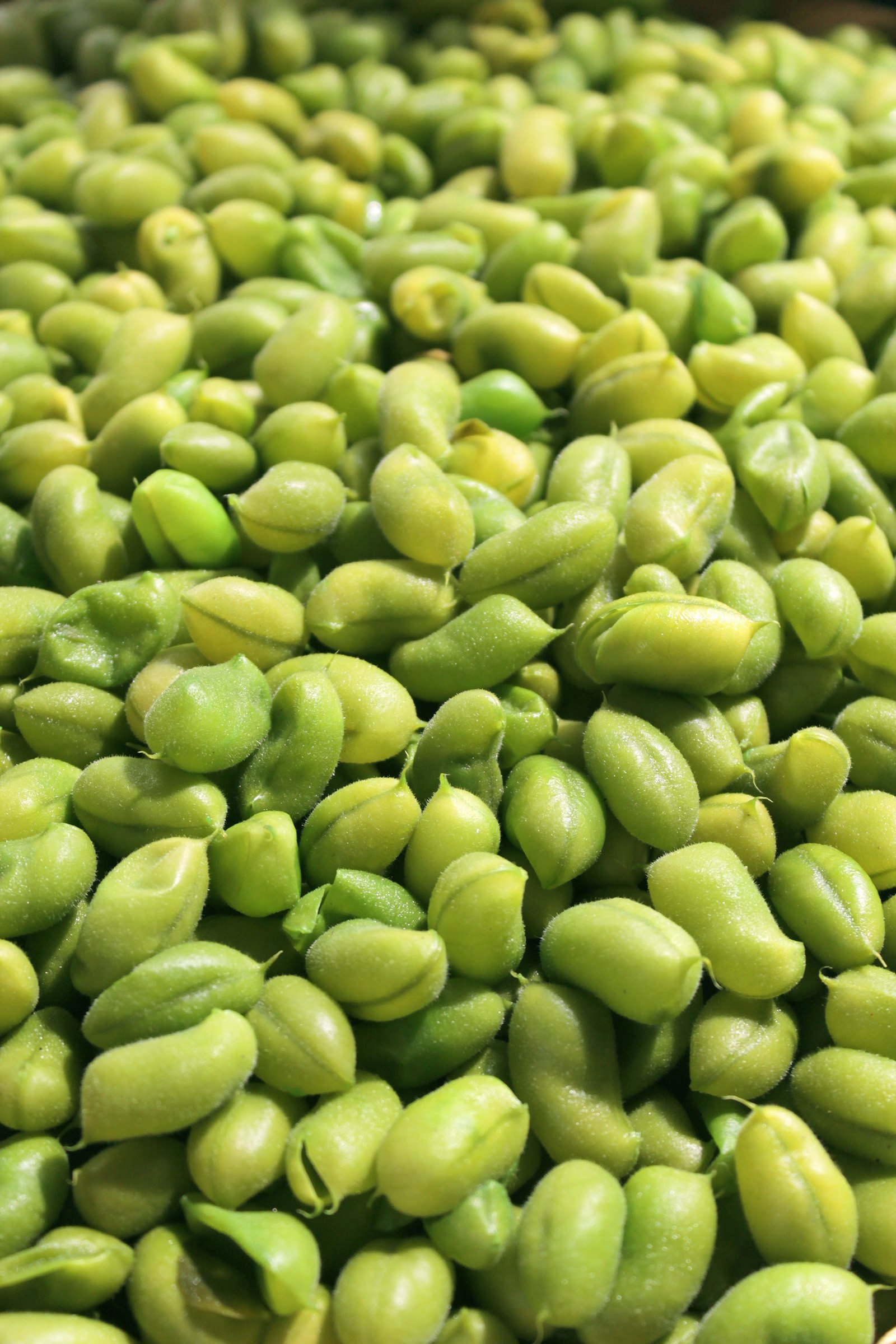 Fagioli di edamame sgusciati, fonte naturale di isoflavoni della soia come la daidzeina