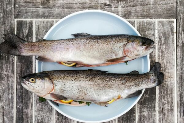 Pesce fresco, fonte naturale di omega-3 EPA e DHA