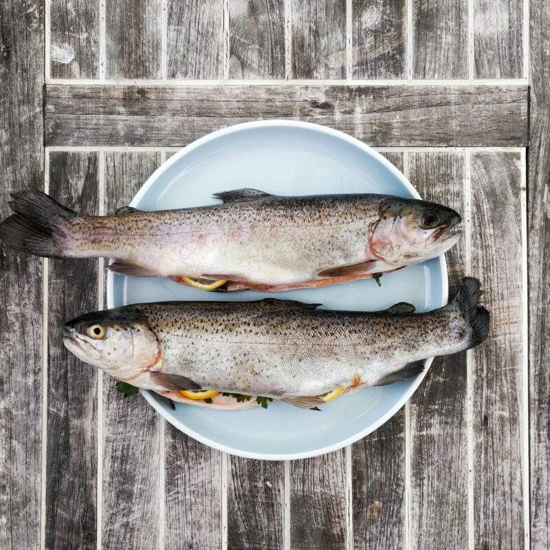 Pesce fresco, fonte naturale di omega-3 EPA e DHA