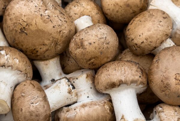 Funghi freschi, fonte naturale di ergosterolo (provitamina D2)