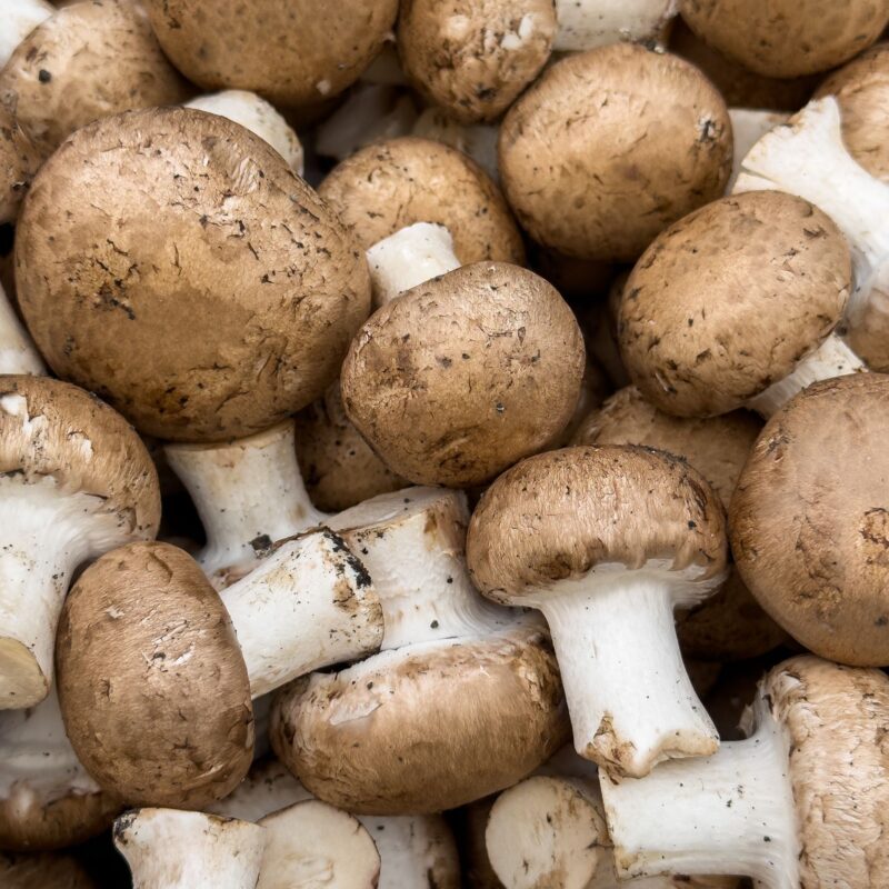 Funghi freschi, fonte naturale di ergosterolo (provitamina D2)