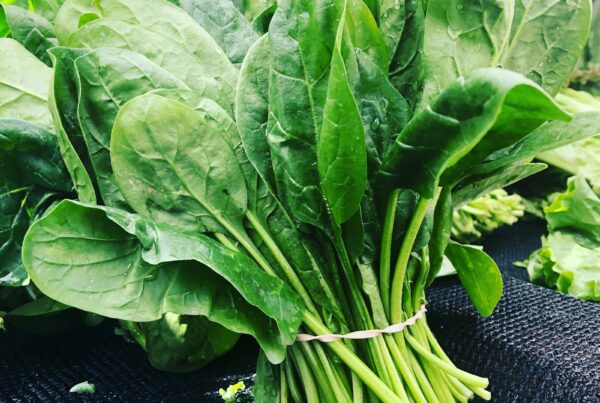 Foglie verdi di spinaci fresche, alimento ricco di ferro