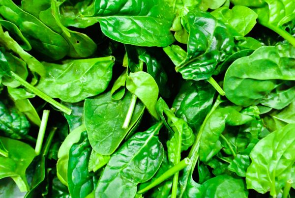 Foglie verdi fresche ricche di folati, correlate al ruolo del PABA nella sintesi dell'acido folico nei batteri