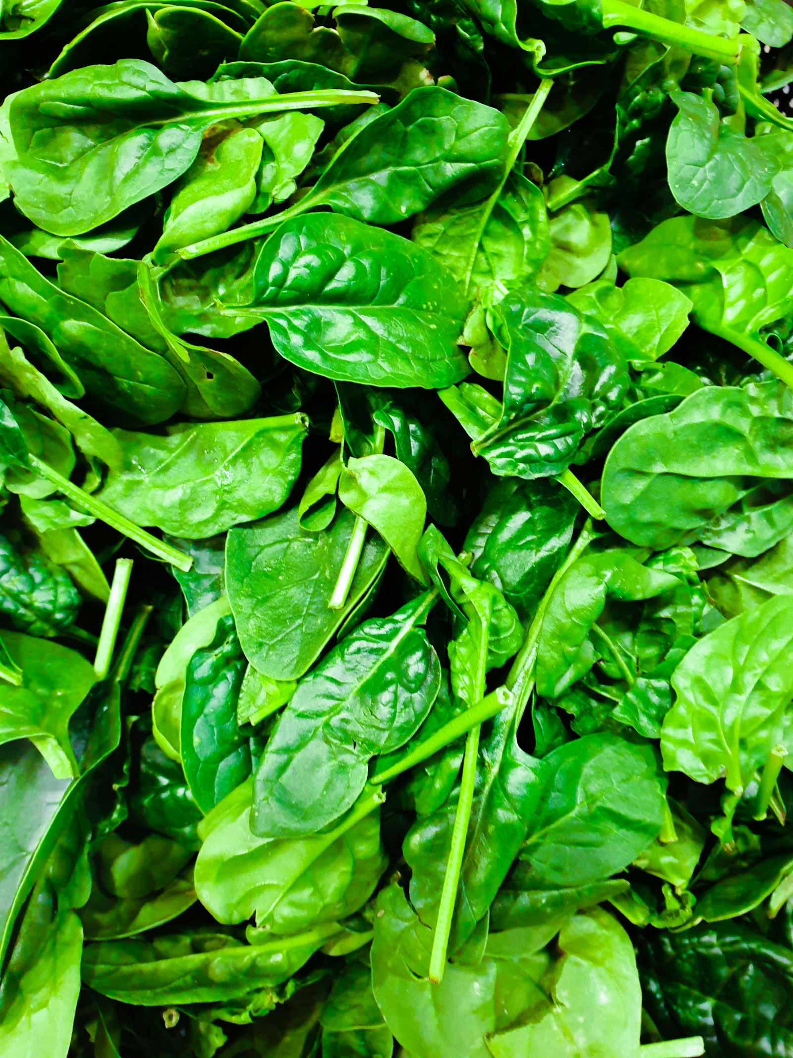 Foglie verdi fresche ricche di folati, correlate al ruolo del PABA nella sintesi dell'acido folico nei batteri