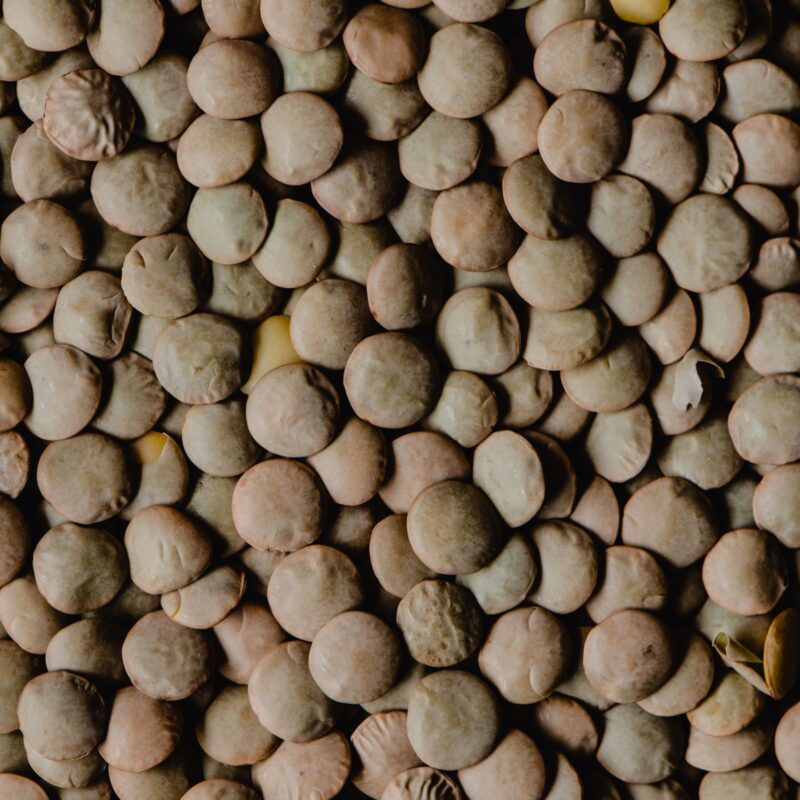 Lenticchie crude in una ciotola, fonte vegetale di vitamina B1 (tiamina)