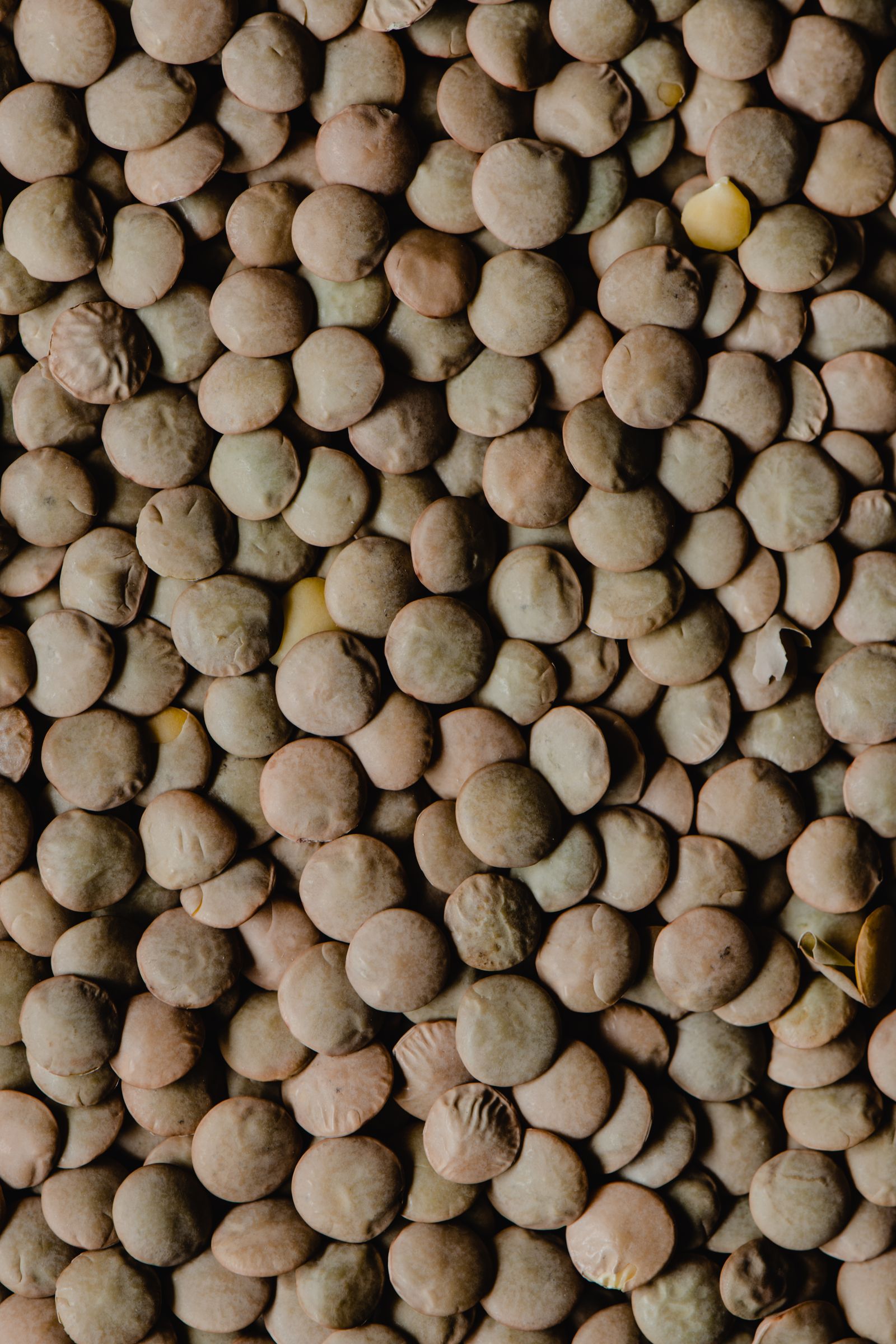 Lenticchie crude in una ciotola, fonte vegetale di vitamina B1 (tiamina)