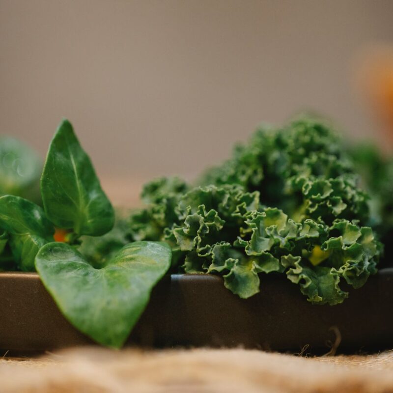 Foglie verdi di cavolo riccio e verdure a foglia, fonti alimentari di luteina