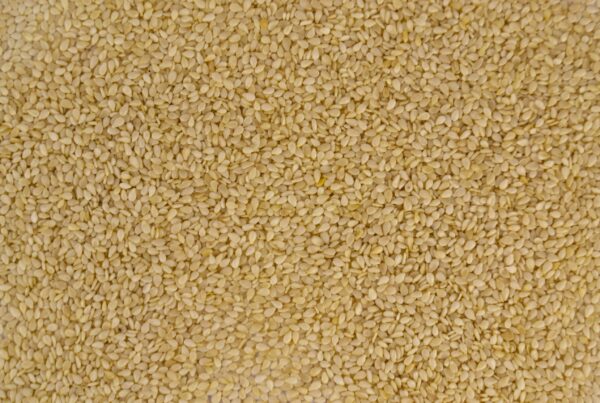 Semi di sesamo, fonte alimentare di metionina e amminoacidi solforati