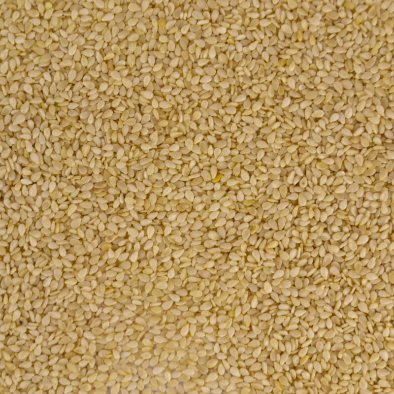 Semi di sesamo, fonte alimentare di metionina e amminoacidi solforati
