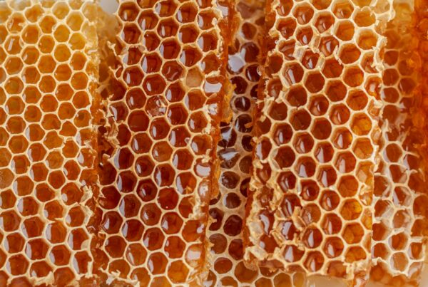 Favo d'api con celle di miele, immagine correlata alla pappa reale