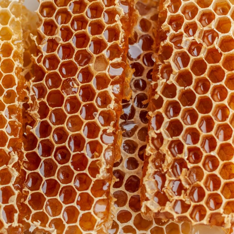 Favo d'api con celle di miele, immagine correlata alla pappa reale