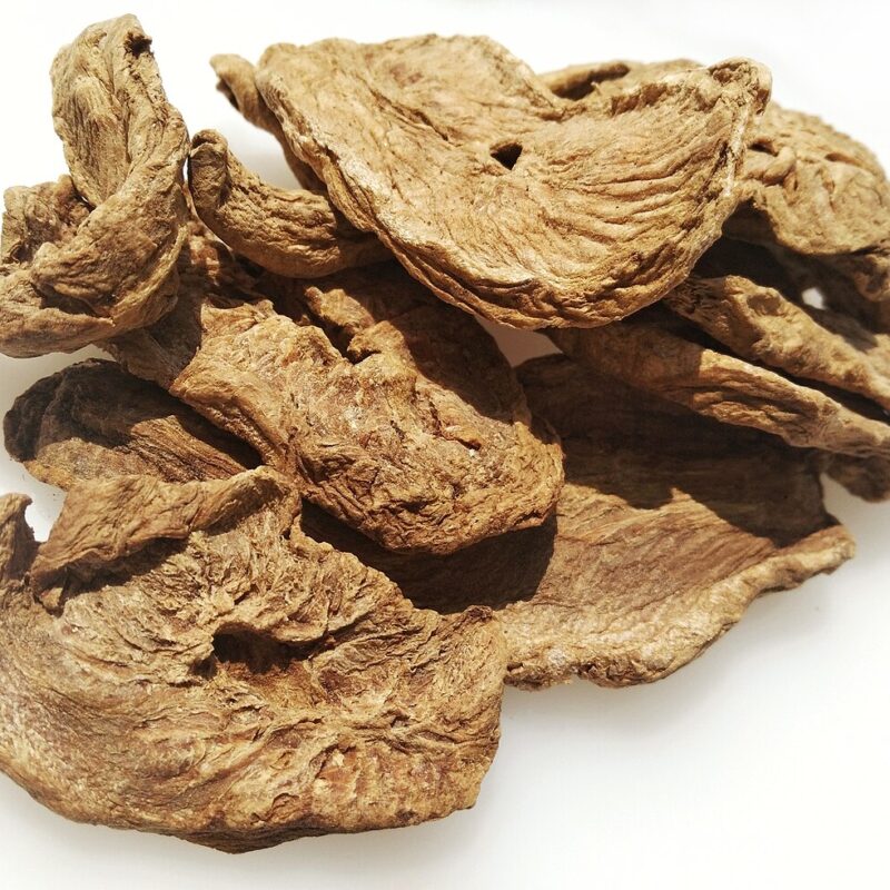 Radici essiccate di cicoria, fonte vegetale di inulina, un esempio di carboidrato non digeribile