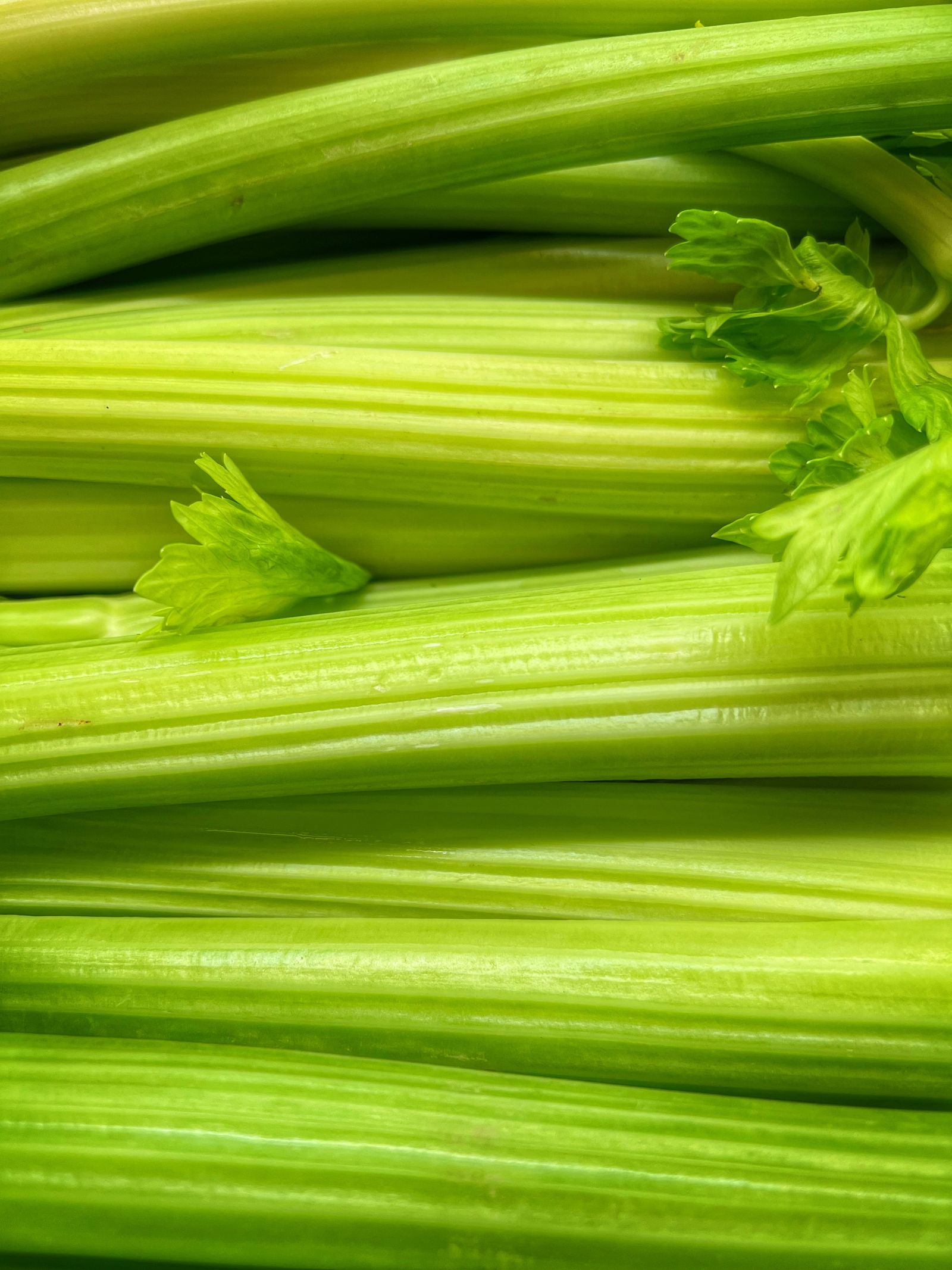 Gambi di sedano freschi tagliati, fonte alimentare di luteolina