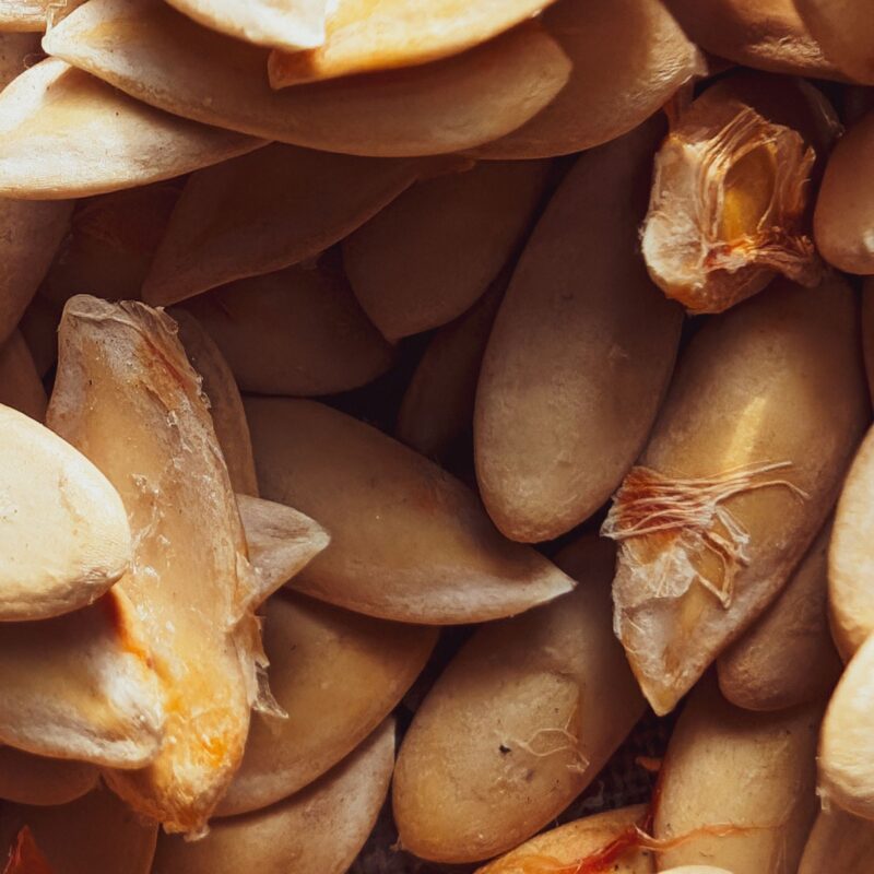 Semi di zucca crudi, fonte alimentare naturale di zinco