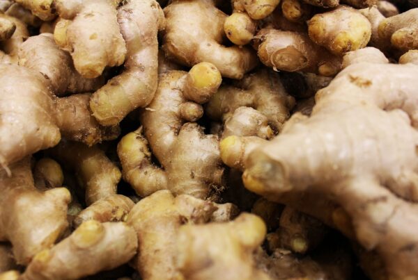 Radici di zenzero fresco, fonte di gingeroli e, una volta essiccato, di shogaoli