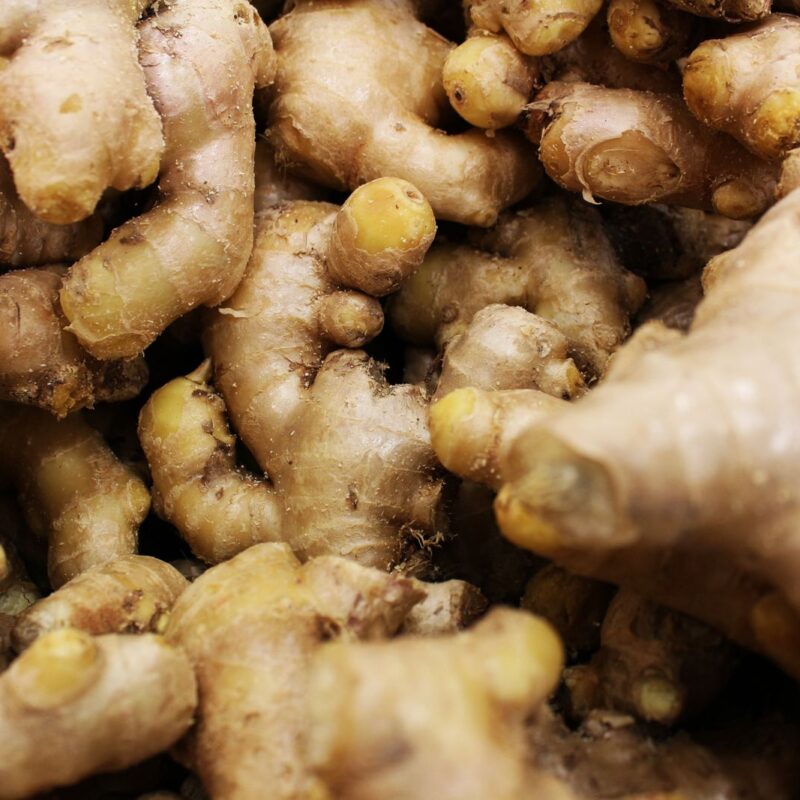 Radici di zenzero fresco, fonte di gingeroli e, una volta essiccato, di shogaoli