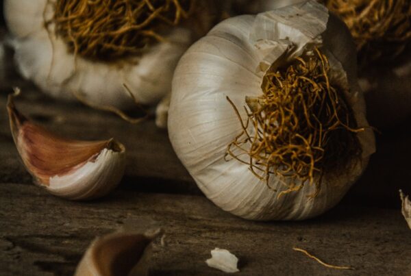 Bulbi di aglio freschi su tavolo rustico, ingrediente da cui nacque la ricerca sui derivati della tiamina