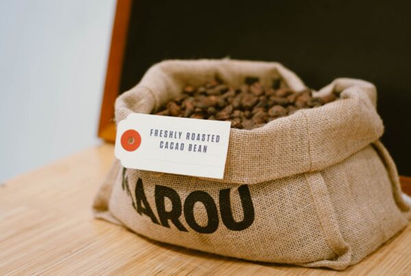 Fave di cacao tostate in sacco di iuta, fonte naturale di teobromina