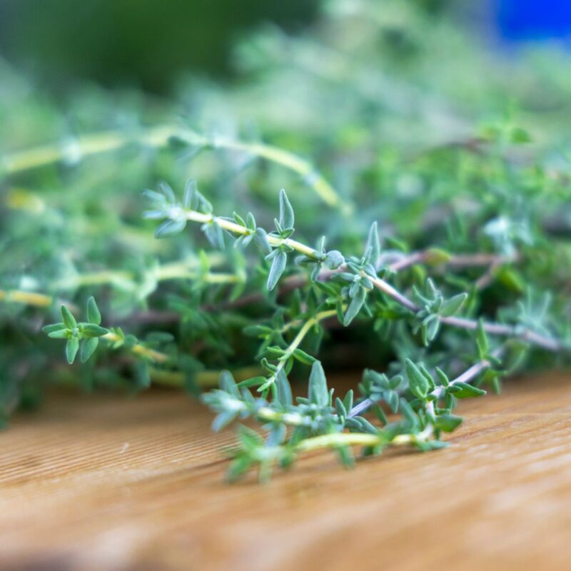 Rametti freschi di timo (Thymus vulgaris) su superficie in legno