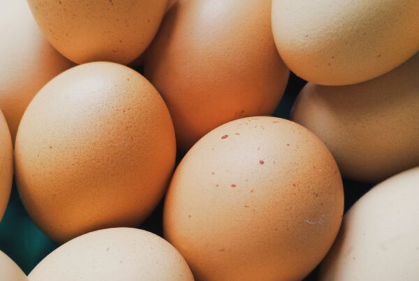 Uova fresche in una ciotola, tra le principali fonti alimentari di colina