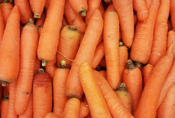 Alimenti ricchi di vitamina A: carote, zucca e verdure a foglia verde