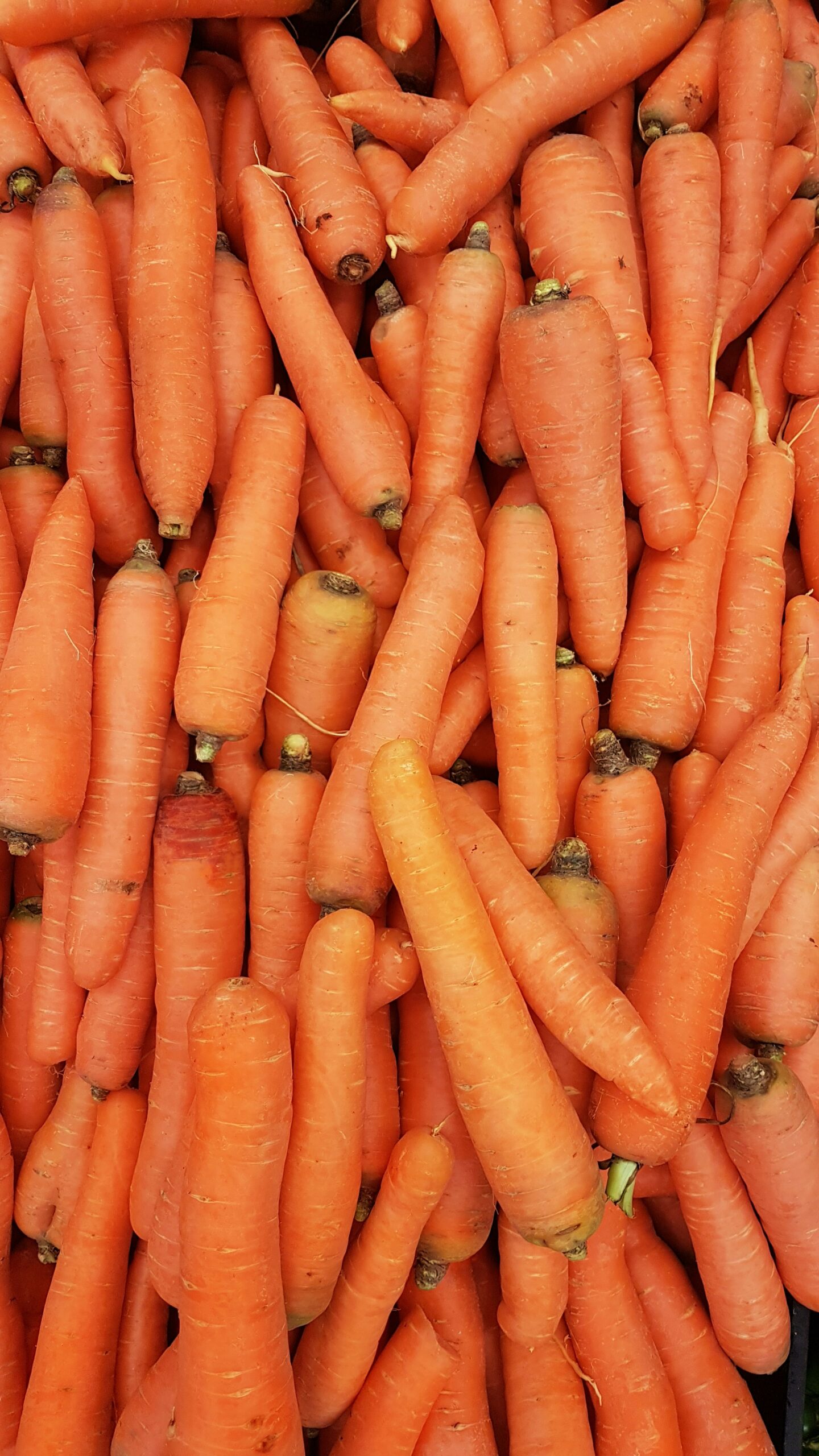 Alimenti ricchi di vitamina A: carote, zucca e verdure a foglia verde
