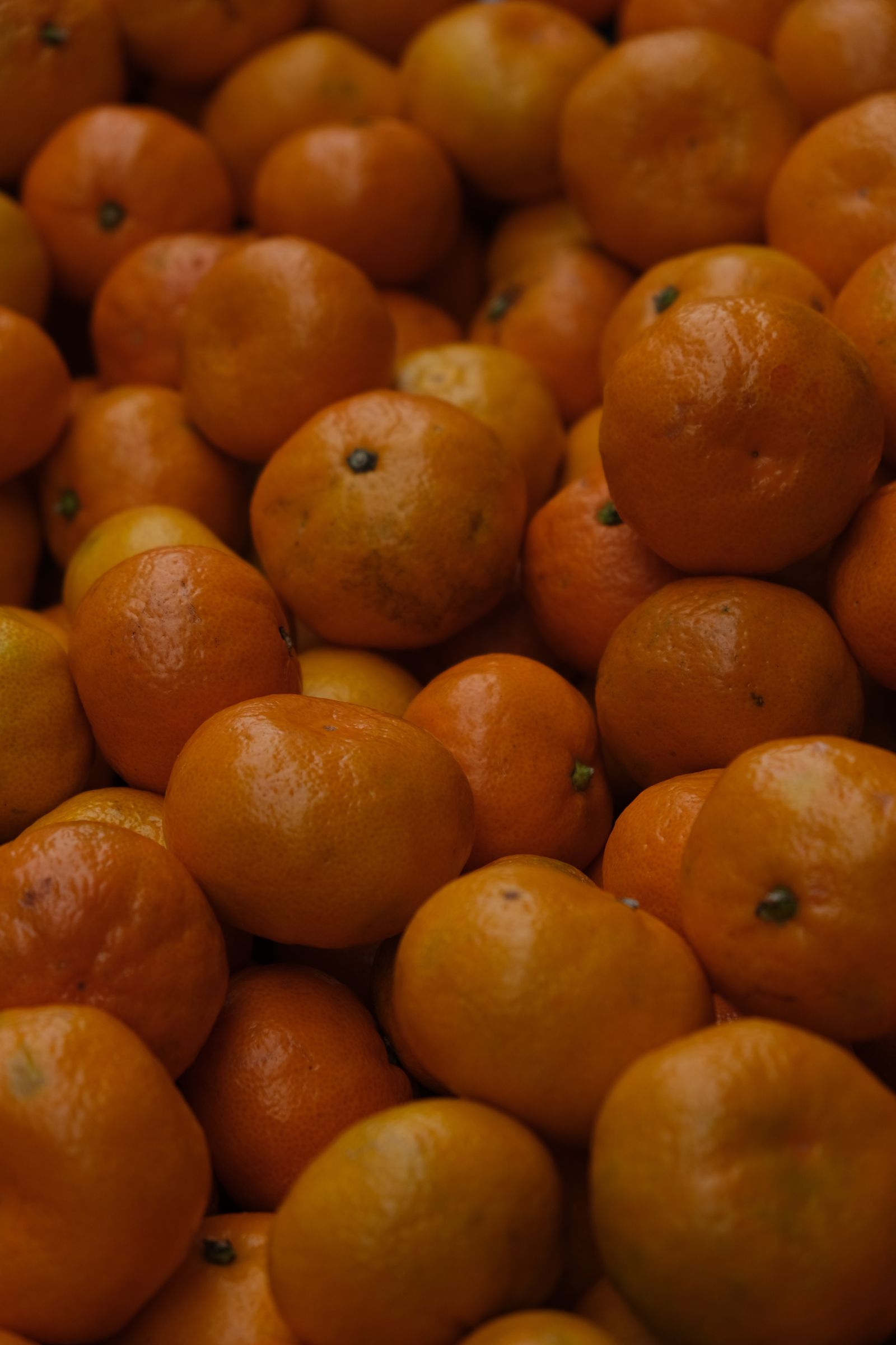Arance tagliate a fette, fonte naturale di vitamina C