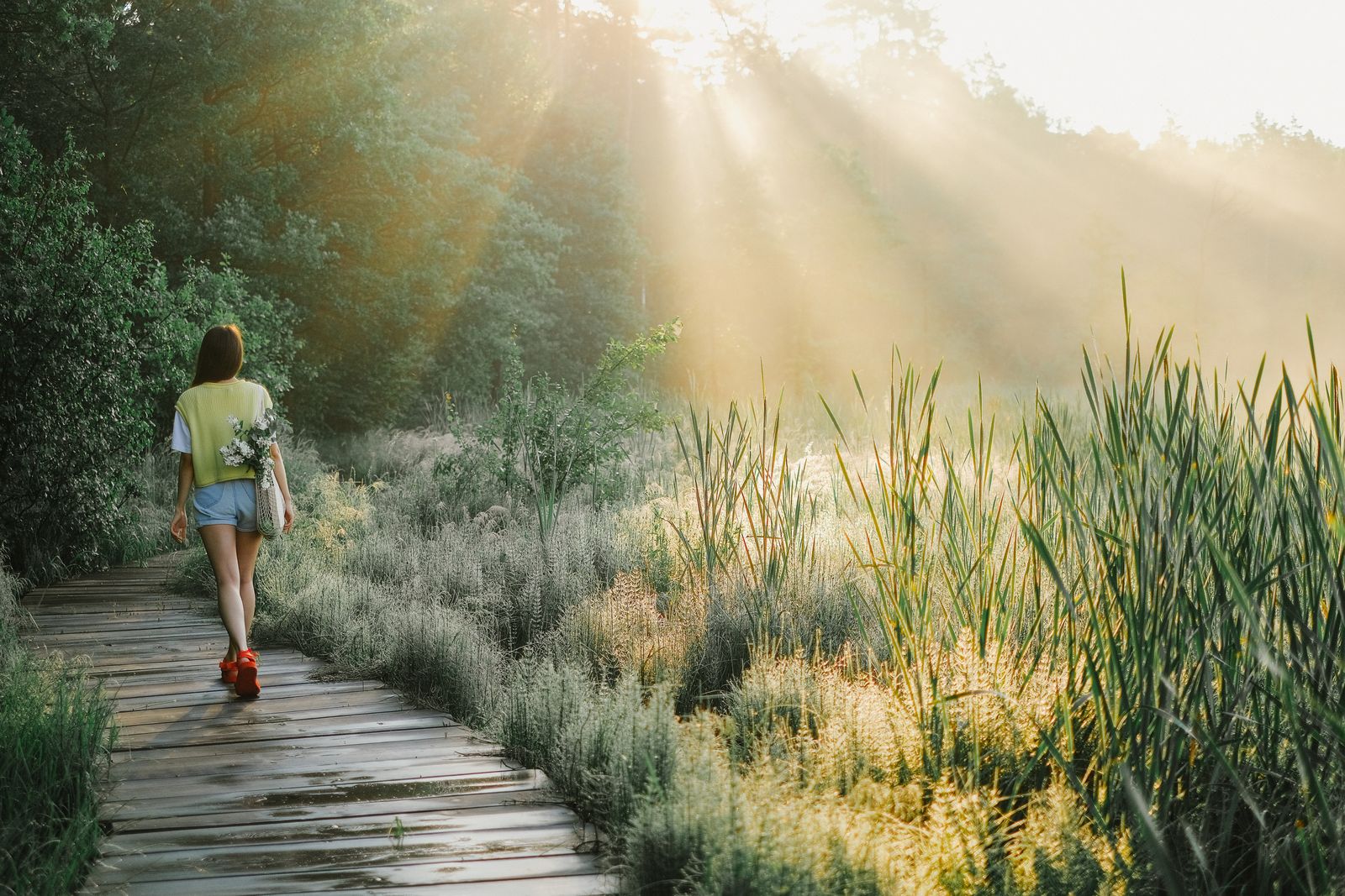Persona che passeggia in un bosco illuminato dal sole, esposizione naturale utile alla sintesi di vitamina D (foto: Pexels)
