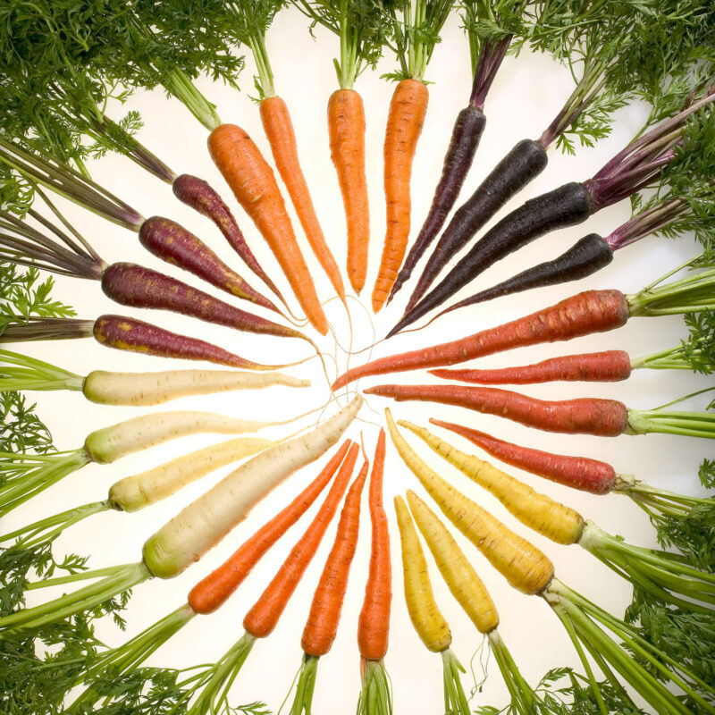 Carote di diversi colori, ortaggi ricchi di carotenoidi