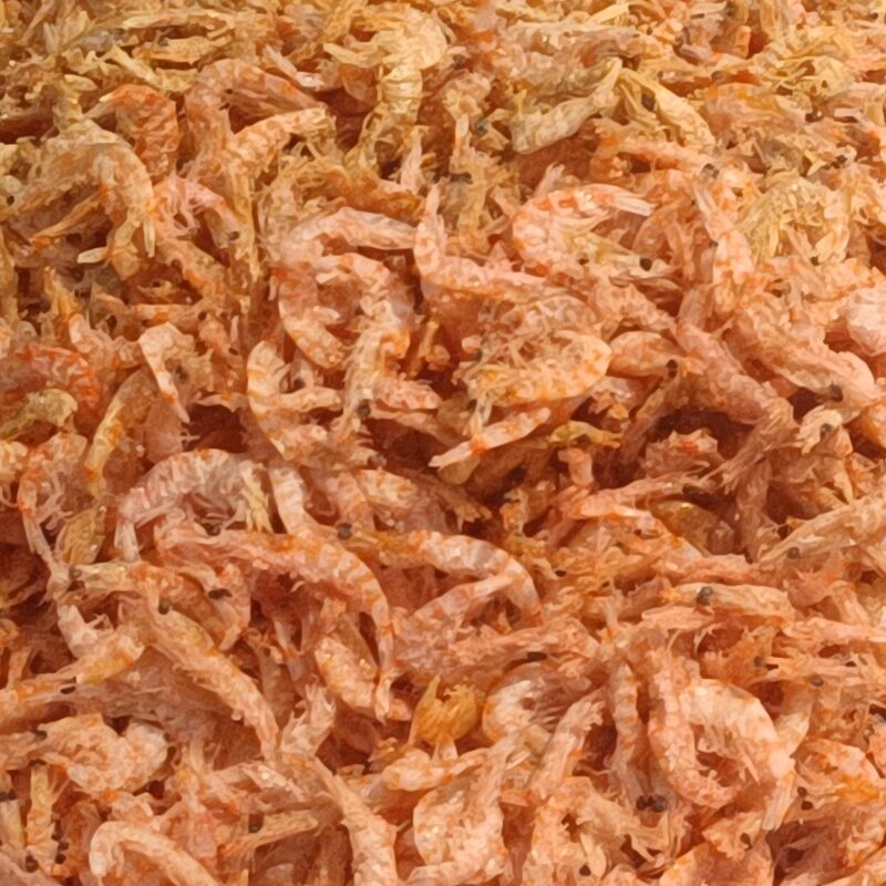 Krill antartico essiccato, piccoli crostacei color rosato-arancio disposti in un mucchio.