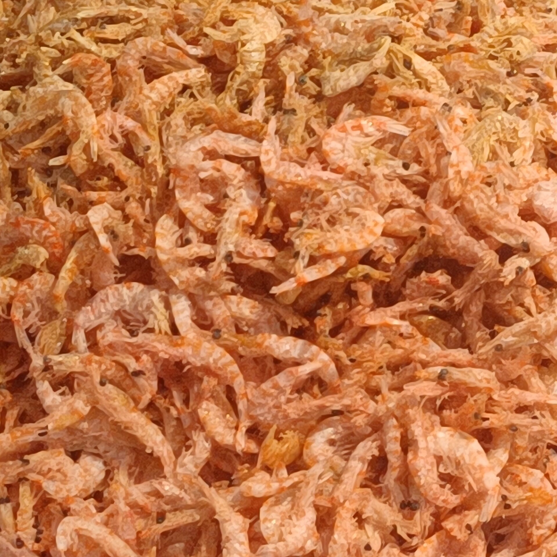 Krill antartico essiccato, piccoli crostacei color rosato-arancio disposti in un mucchio.