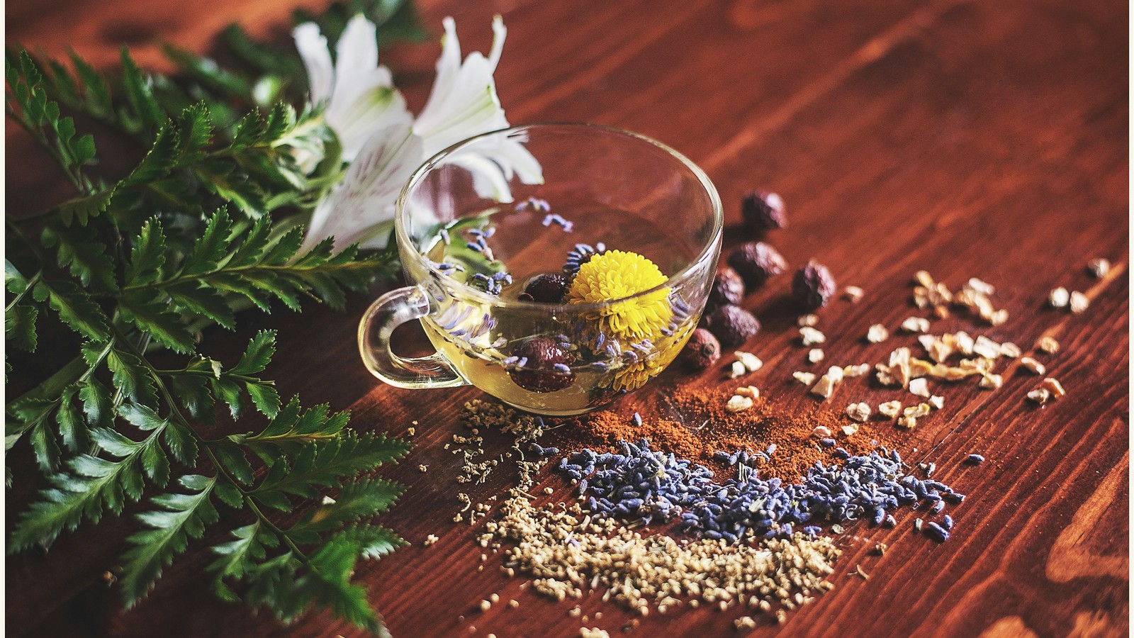 Erbe e fiori essiccati su un tavolo, esempio di ingredienti di origine naturale
