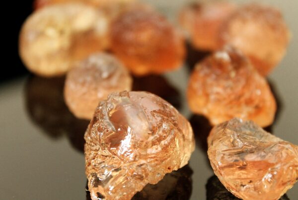 Grumi traslucidi di gomma arabica grezza, di colore ambrato, appoggiati su una superficie scura e lucida