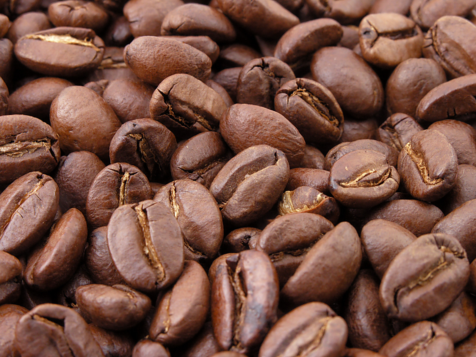 Chicchi di caffè tostato